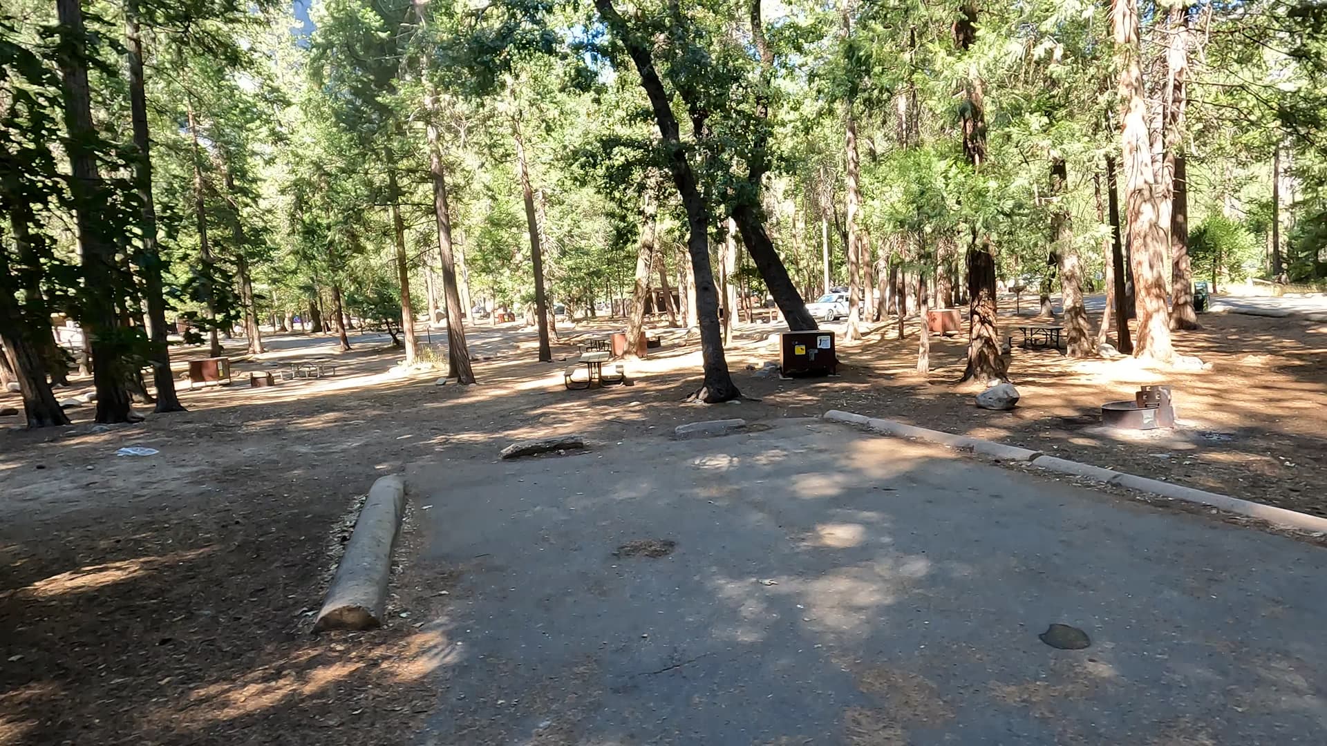 Site 156
