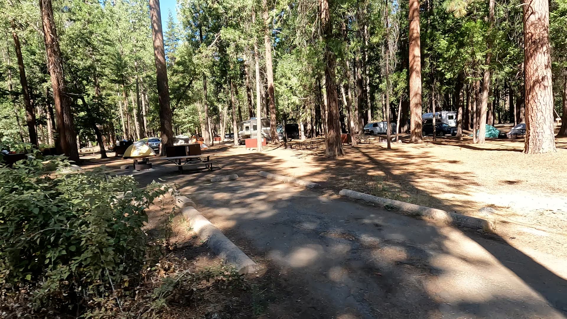 Site 184