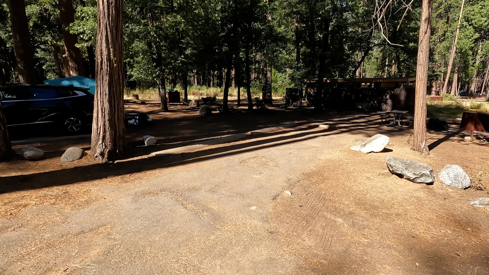 Site 193