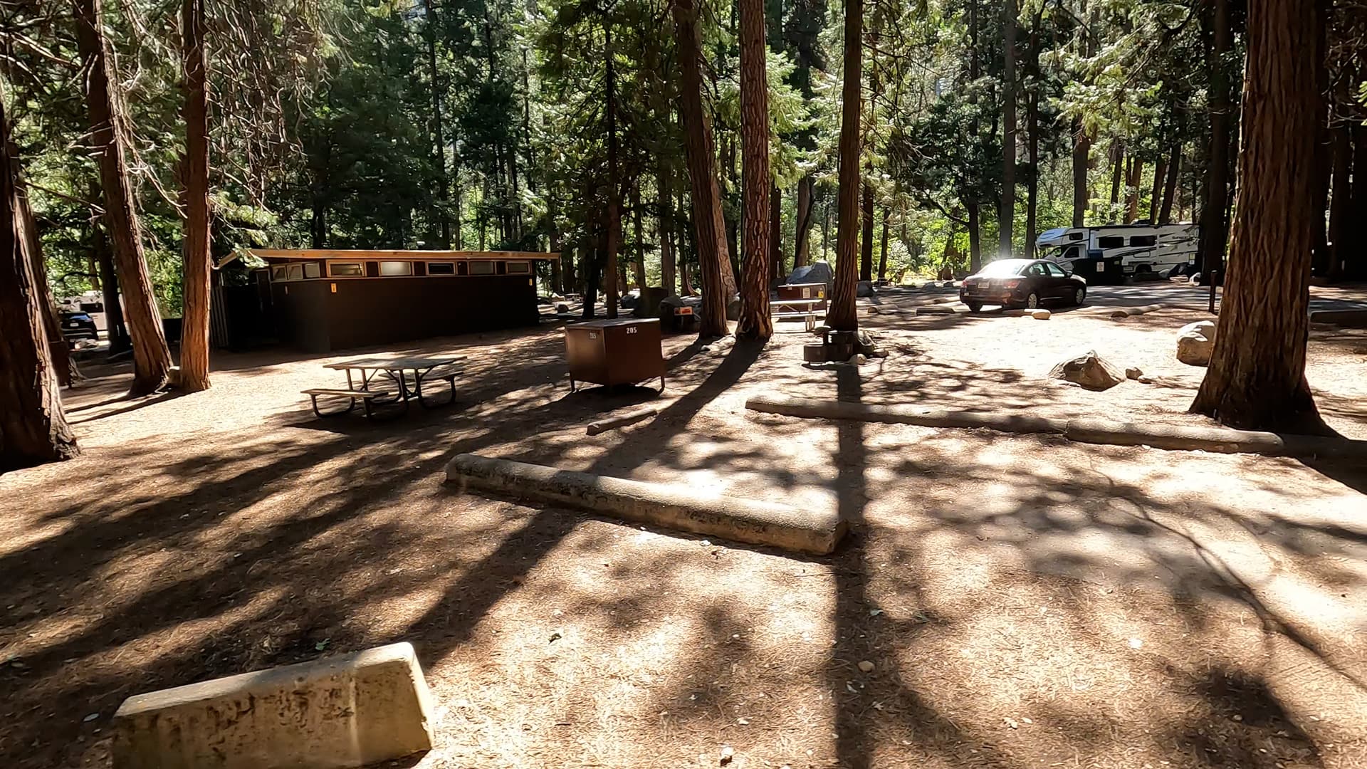 Site 205