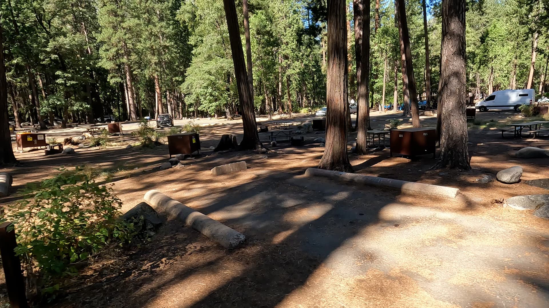 Site 223