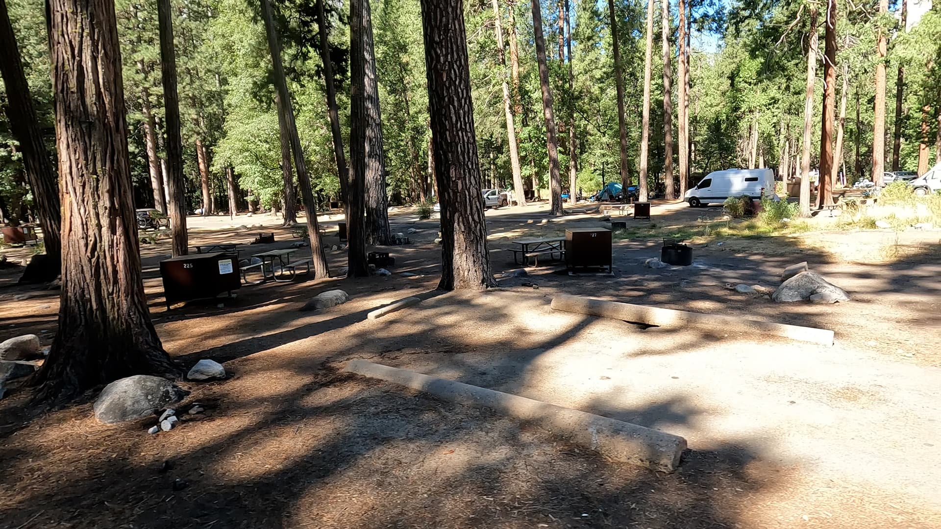 Site 225