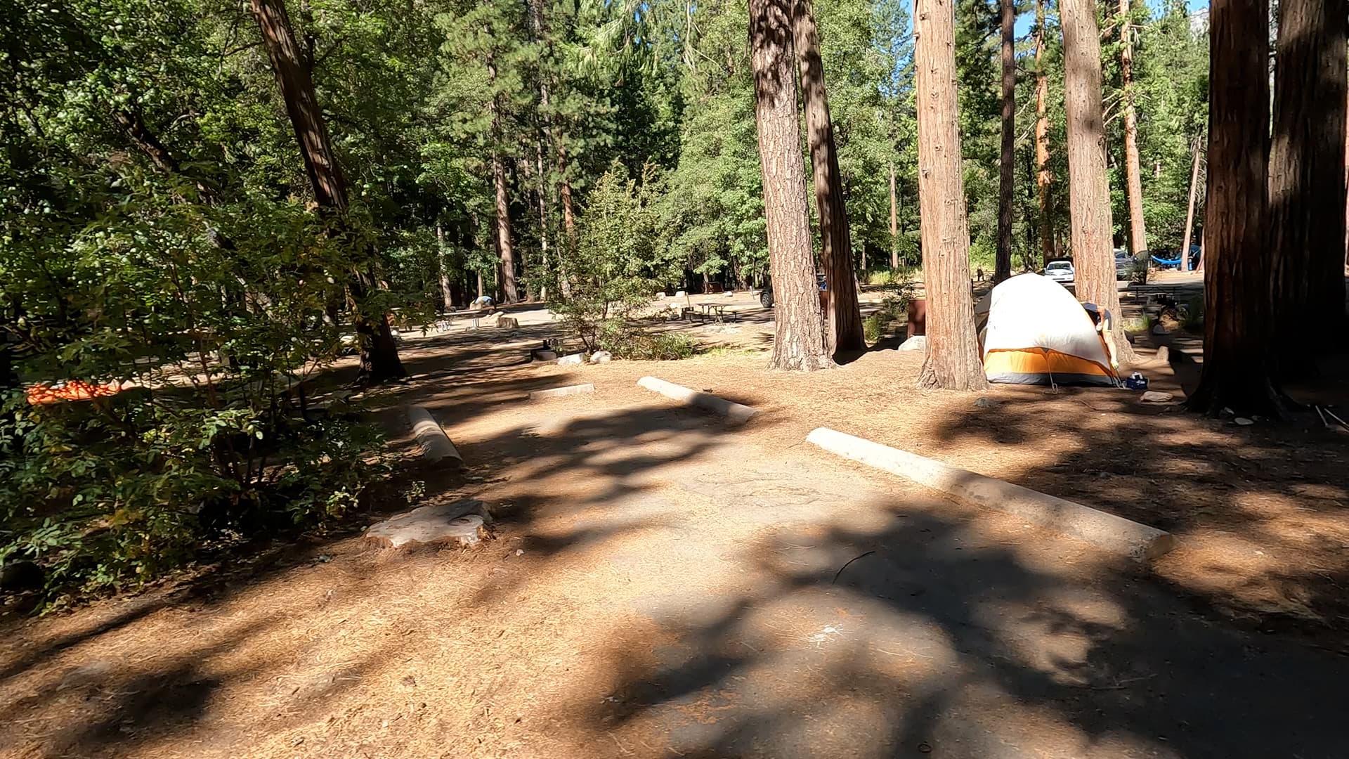 Site 219