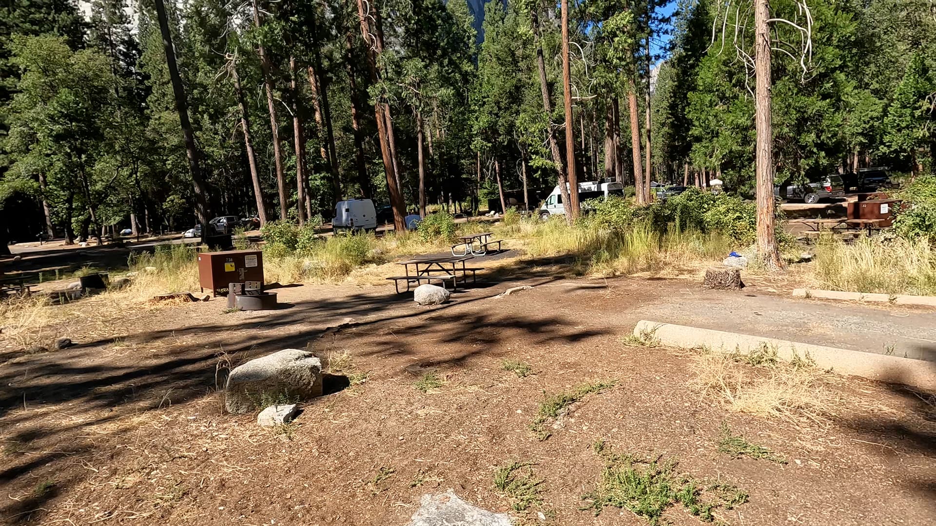 Site 231