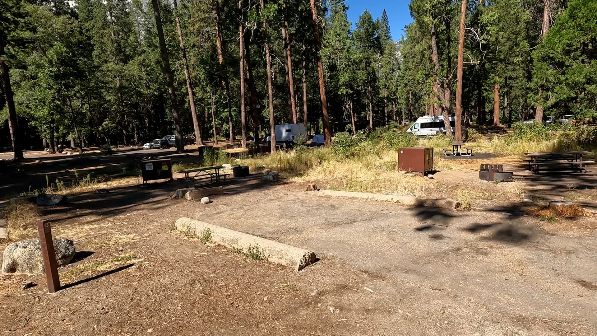 Site 229