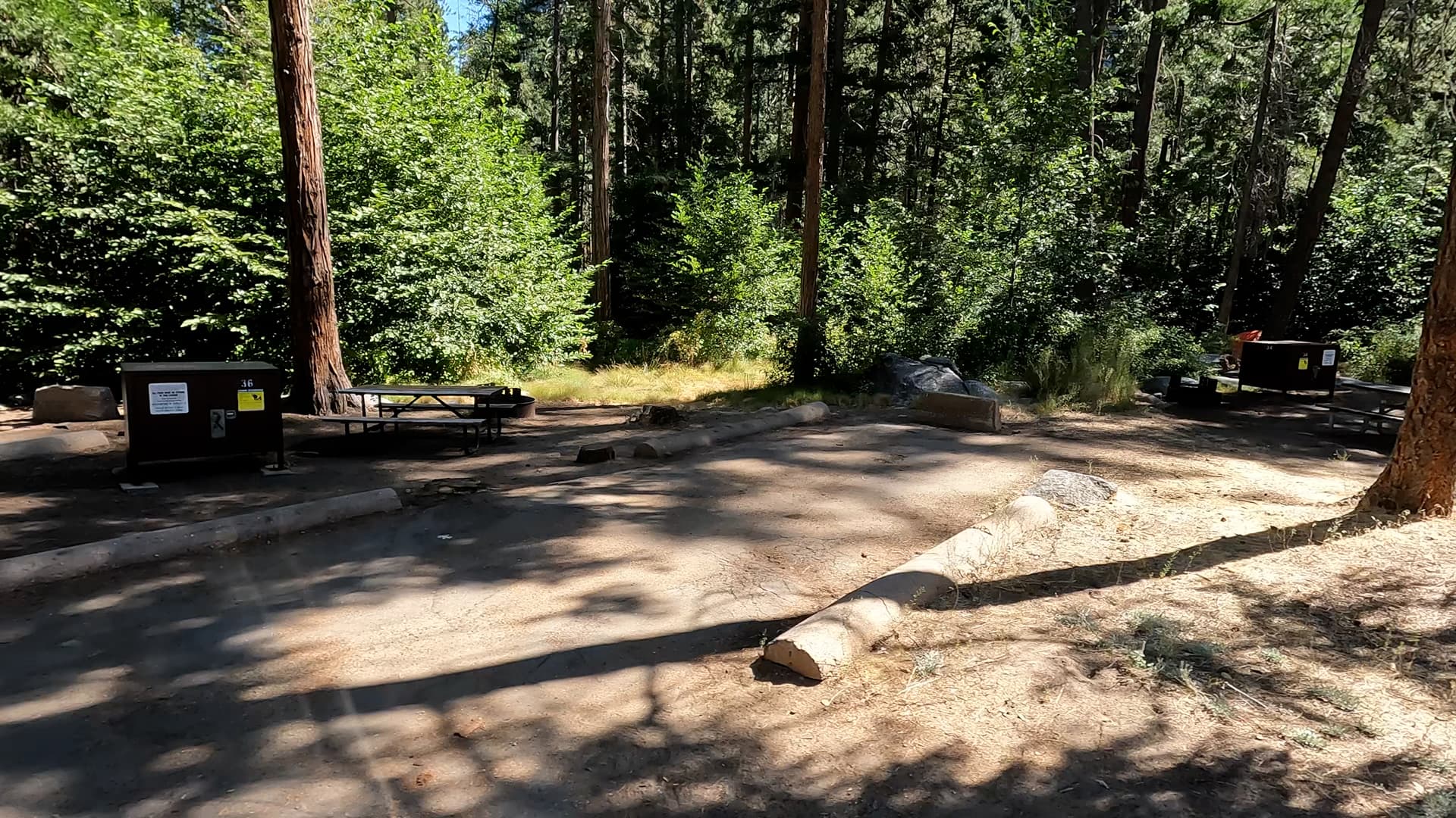 Site 236