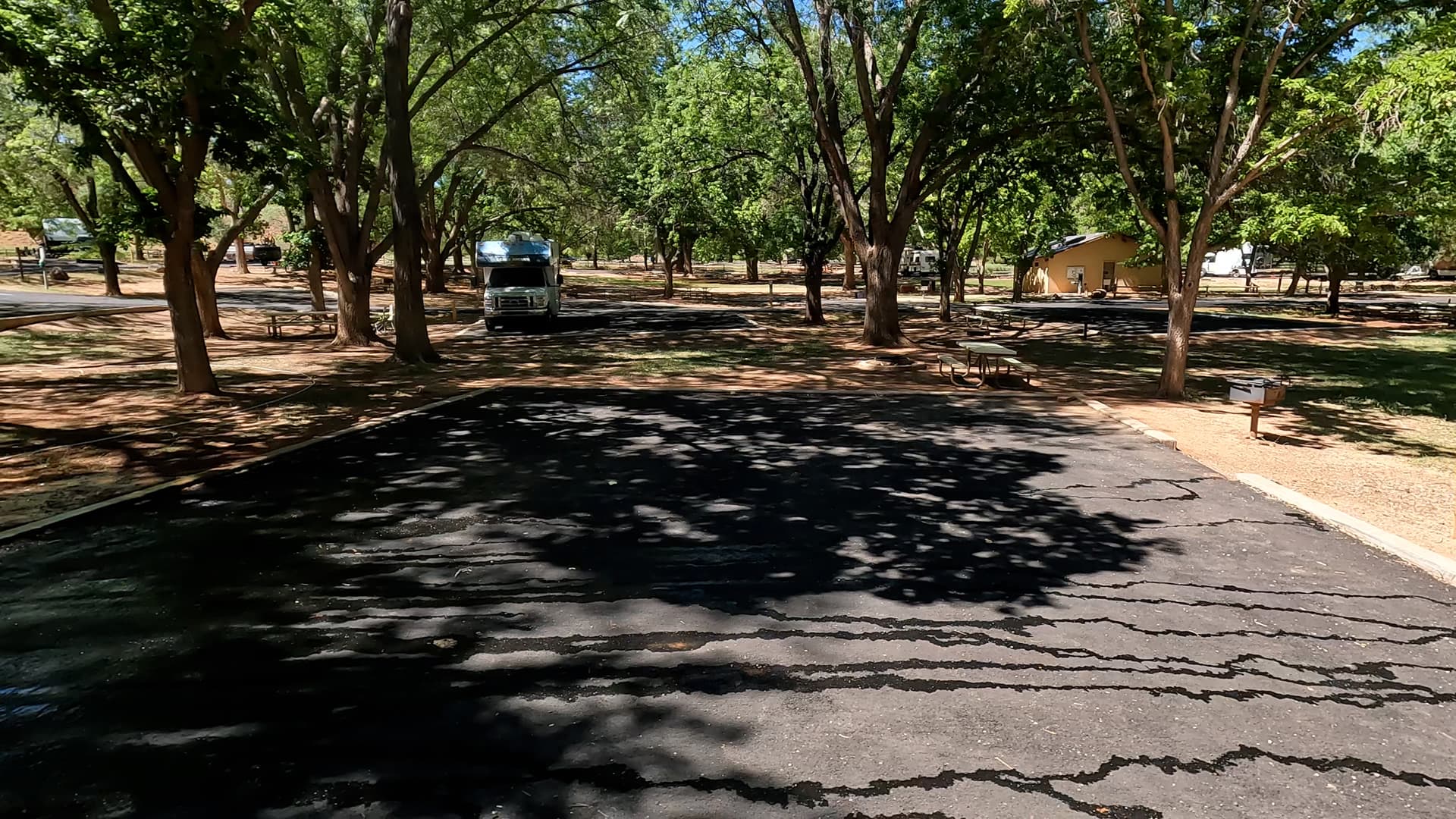 Site 15