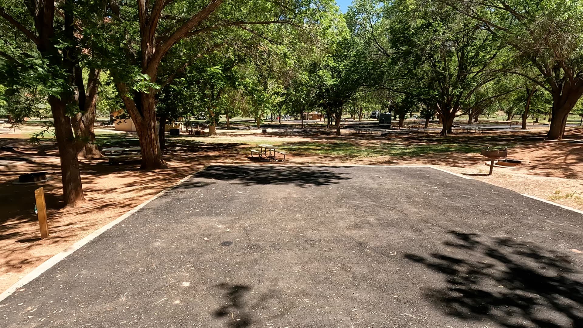 Site 41