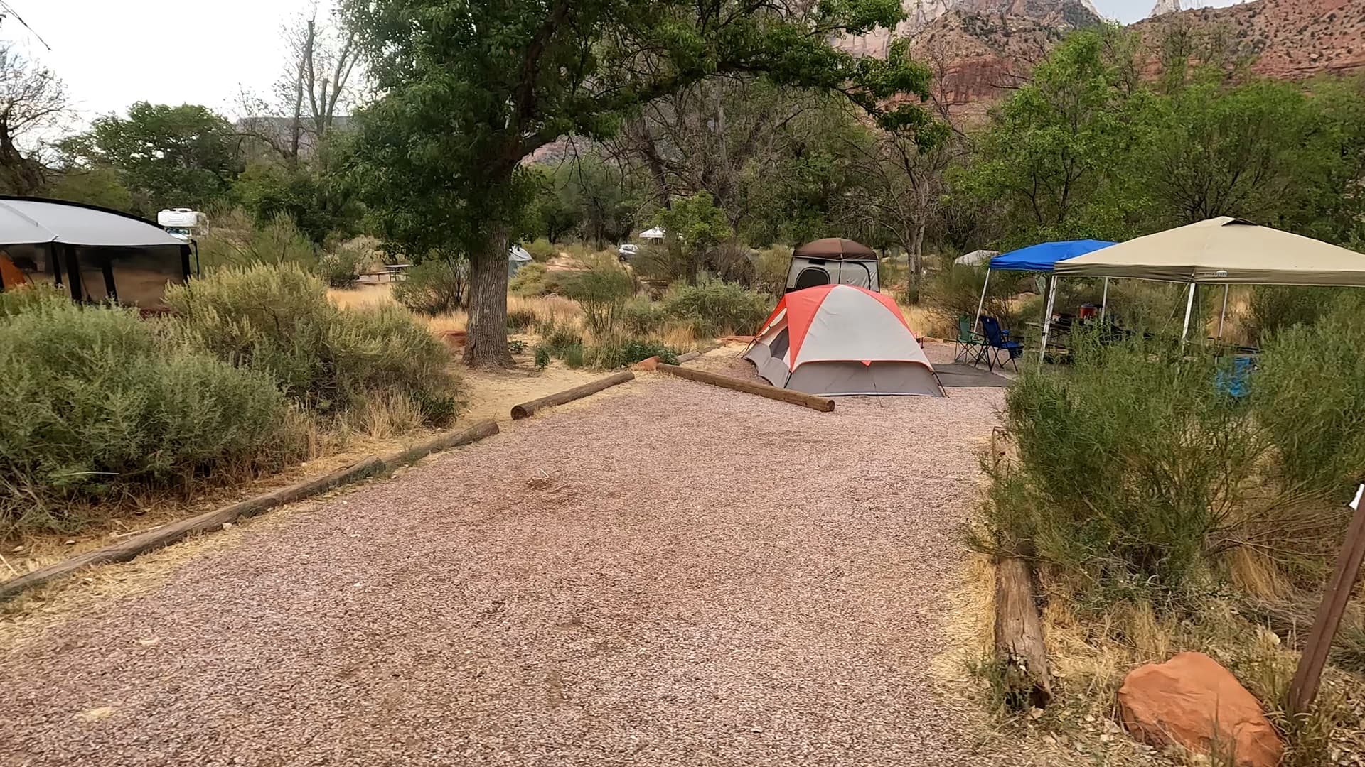 Site D1