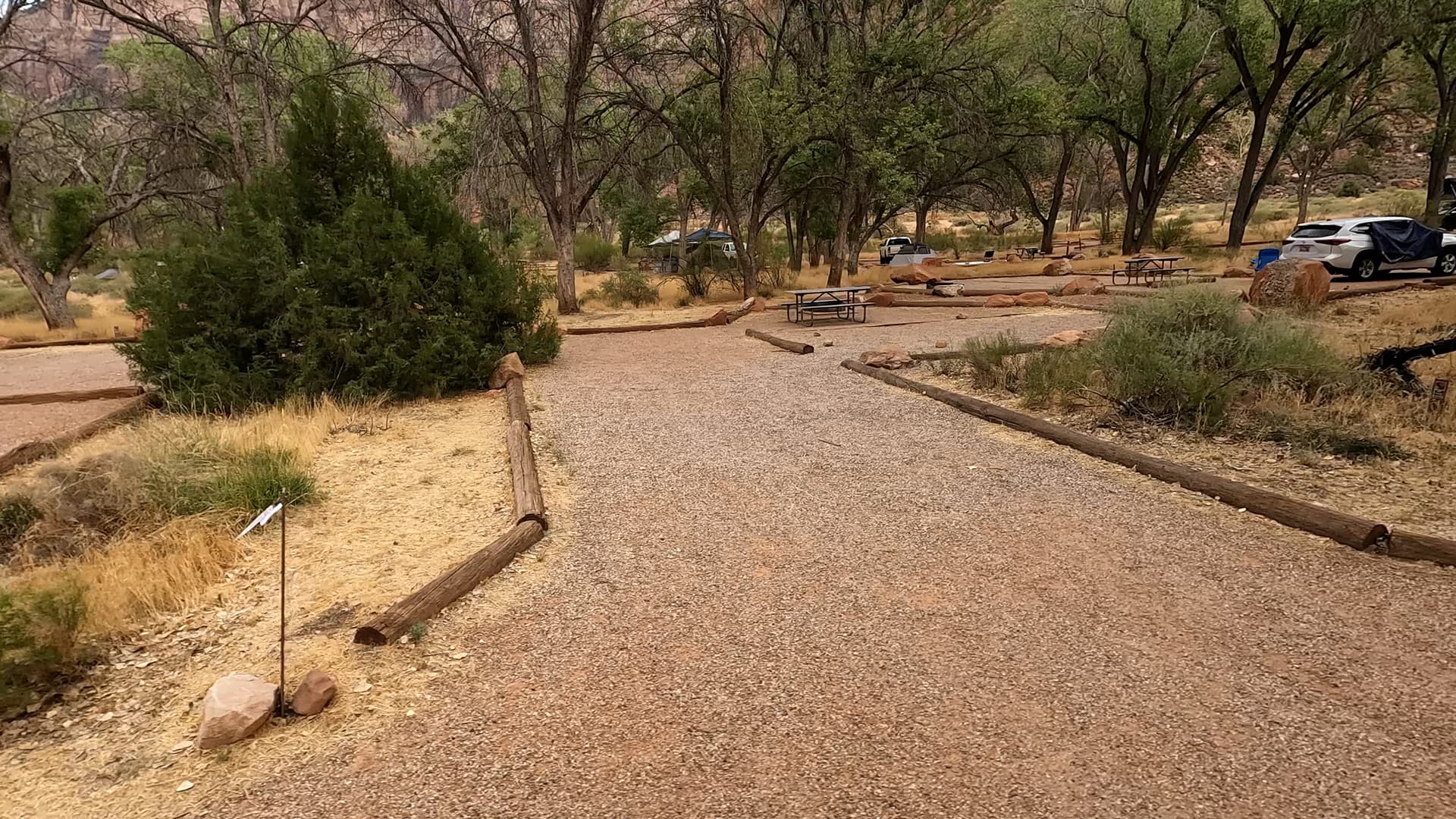 Site D15