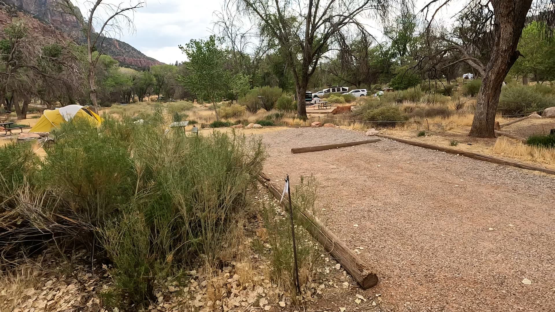 Site D39