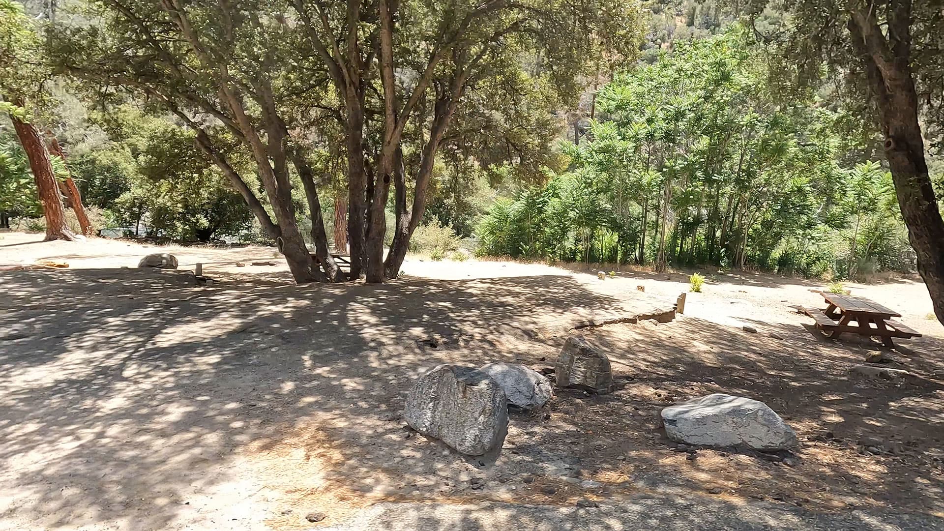 Site 15