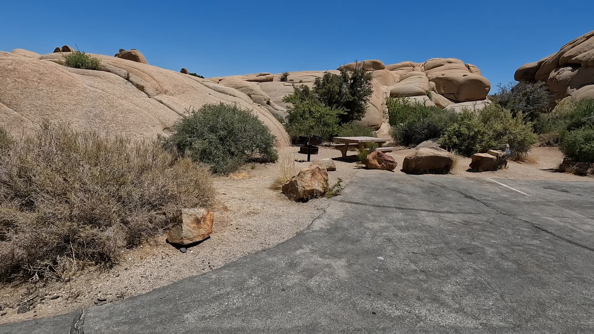Site 9