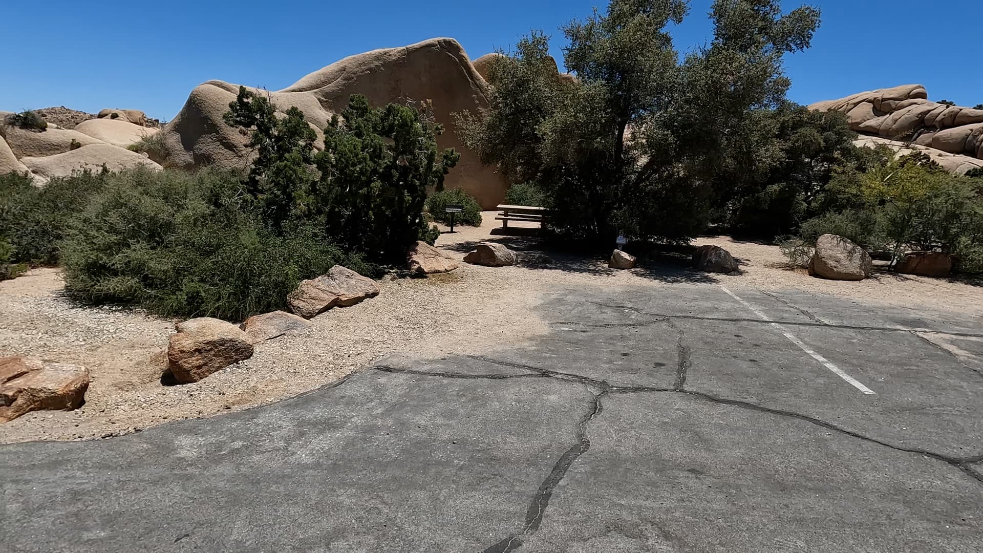 Site 11