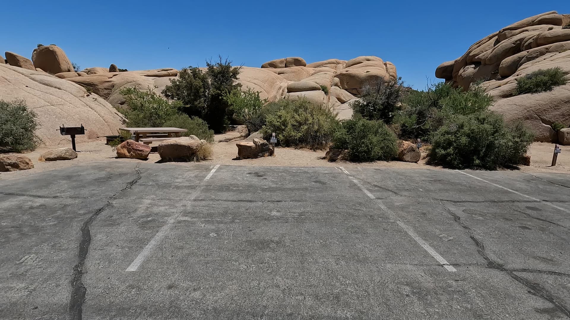 Site 8