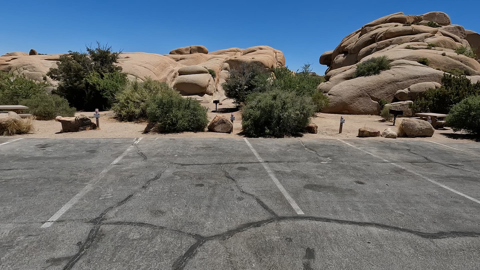 Site 7