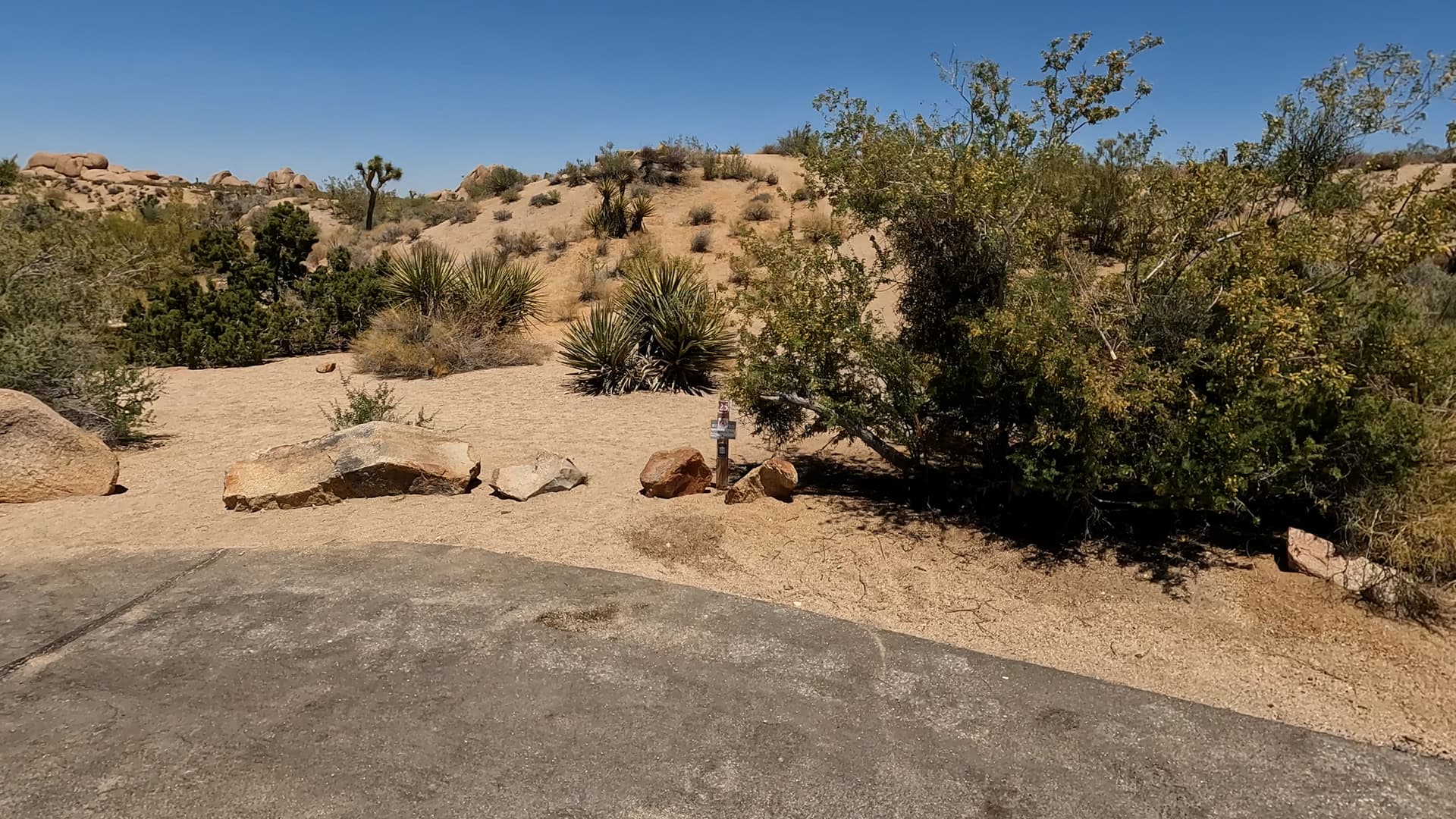 Site 25