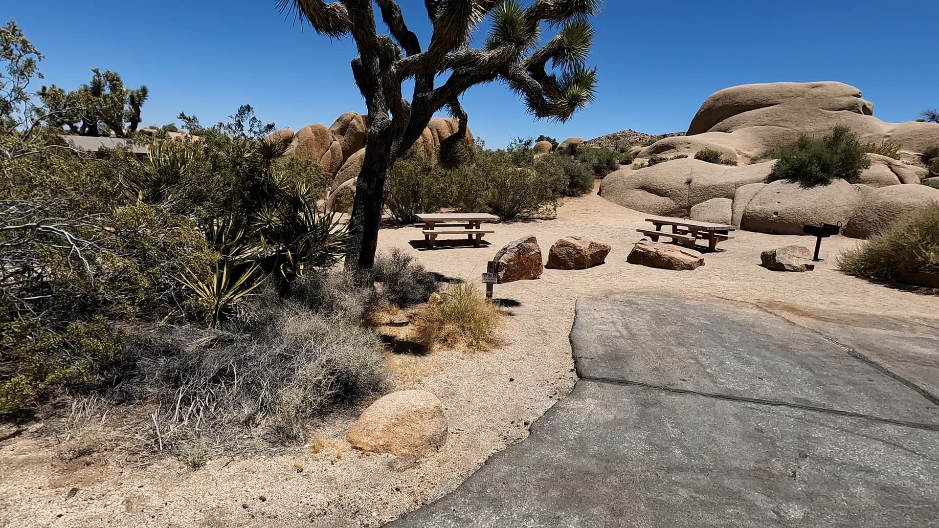 Site 24