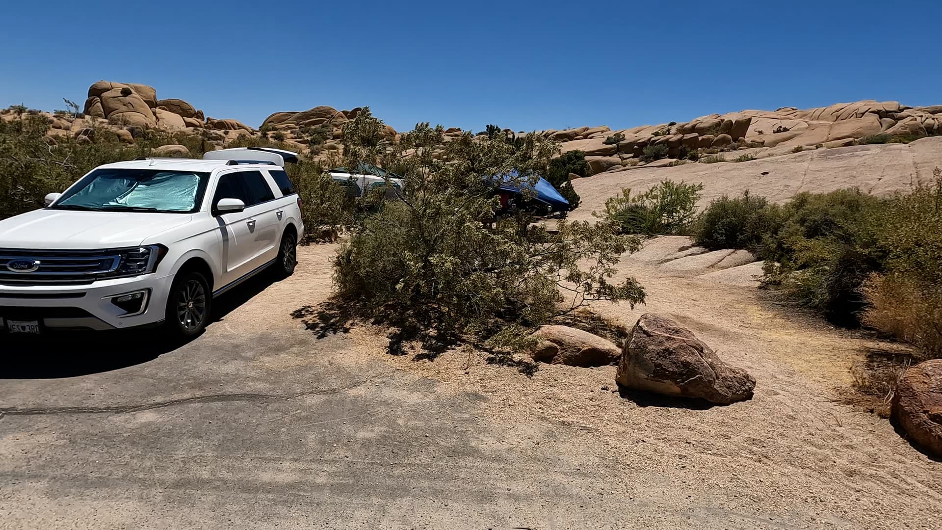 Site 12