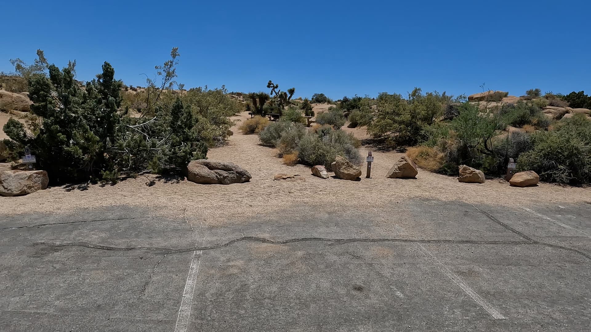 Site 31