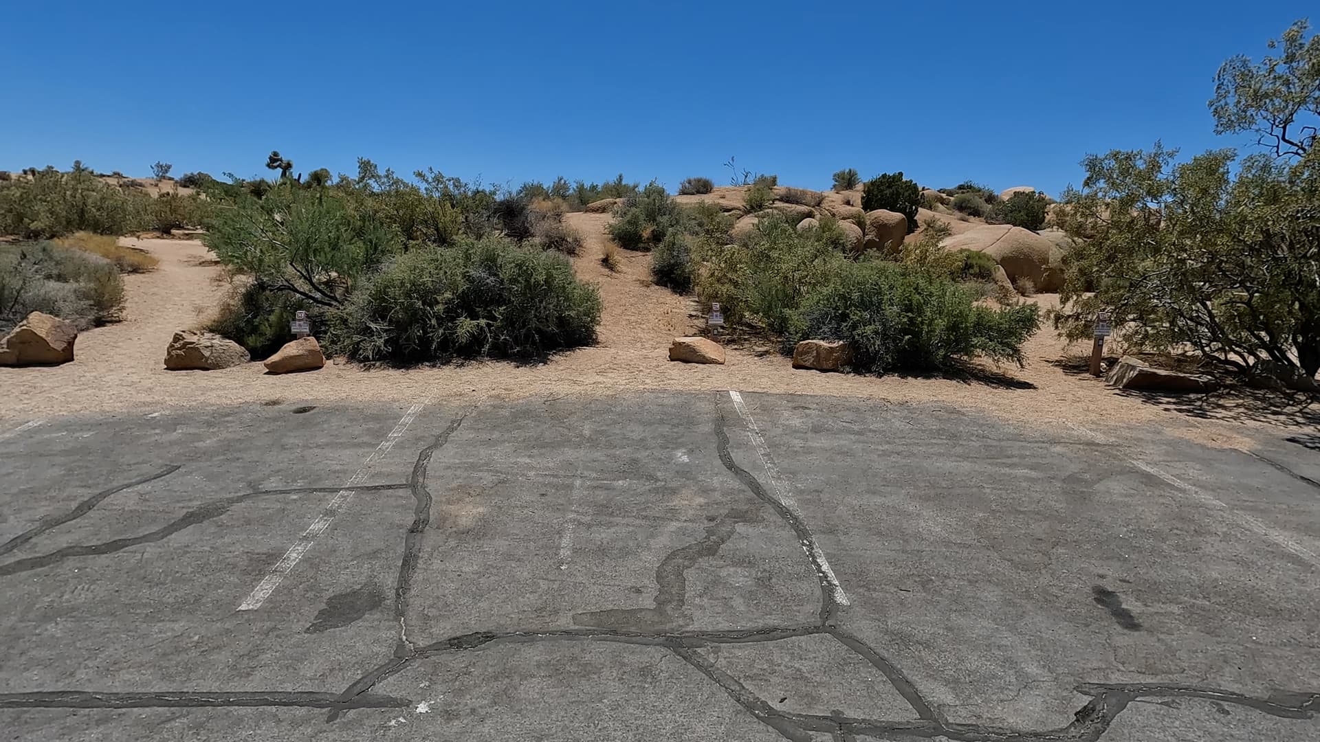 Site 29