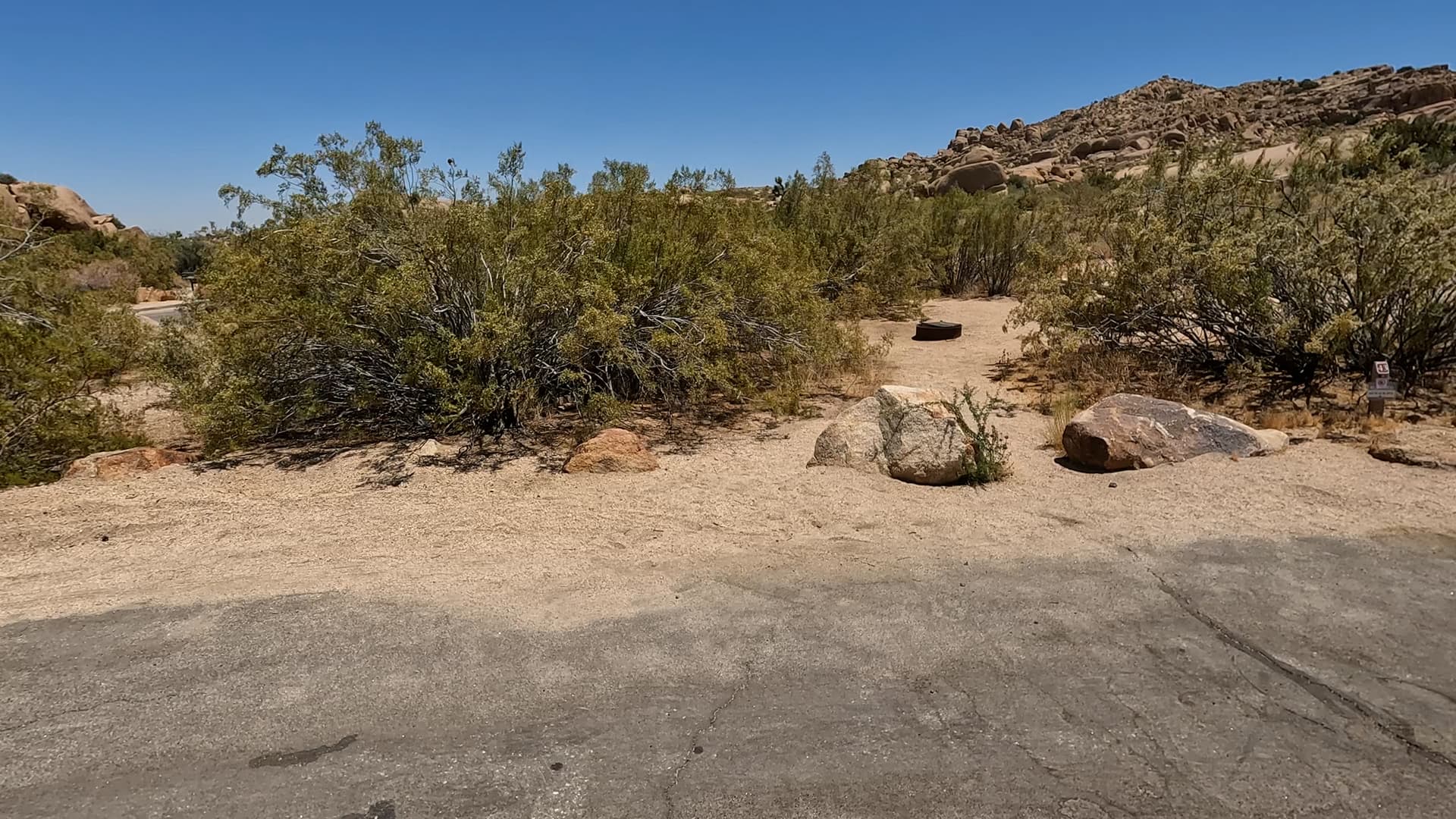 Site 43