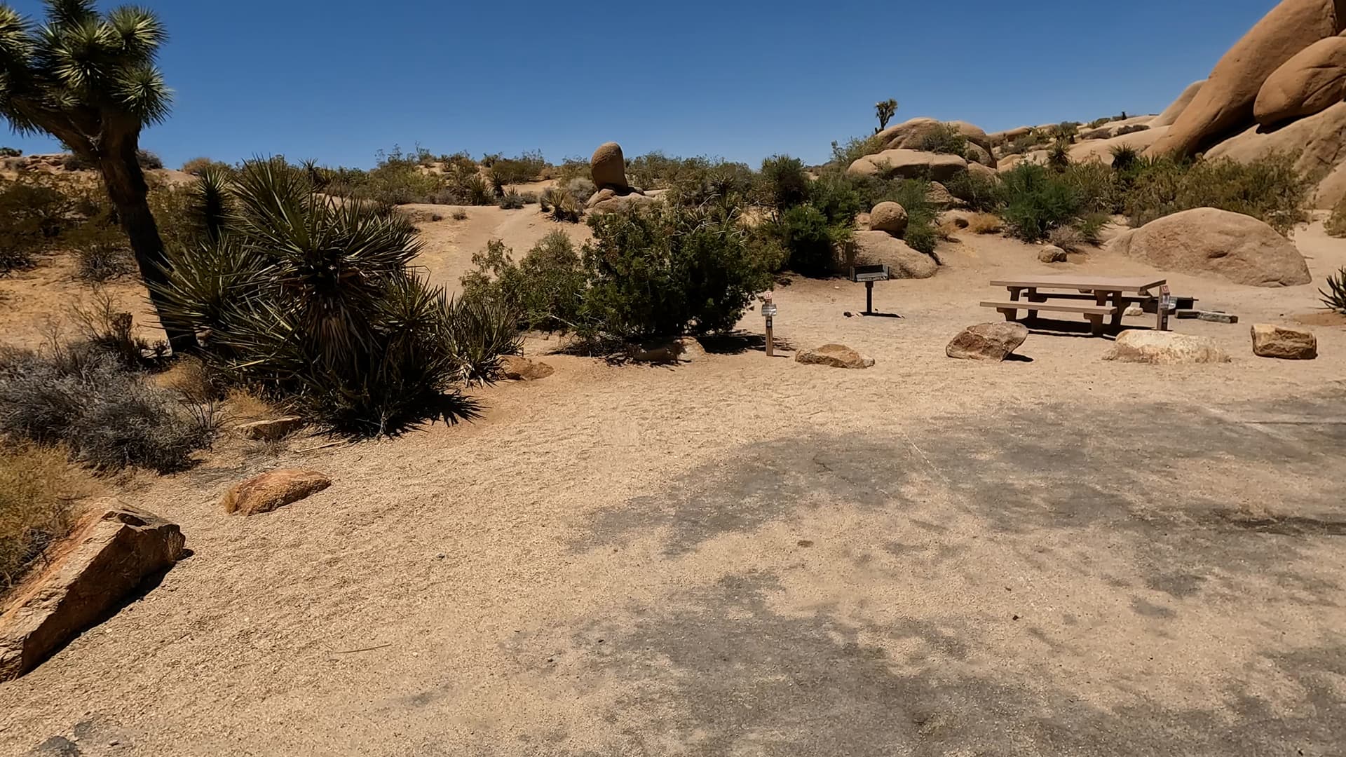 Site 37