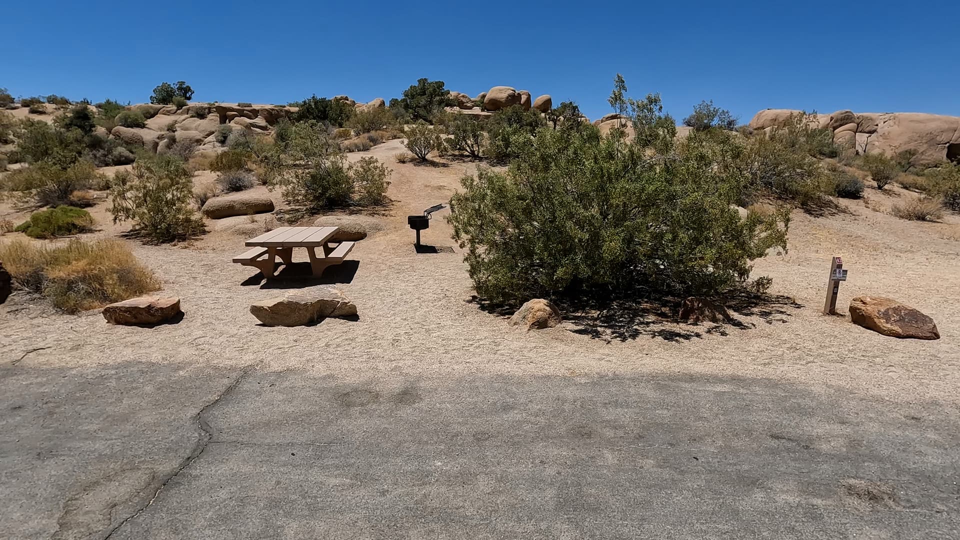 Site 42