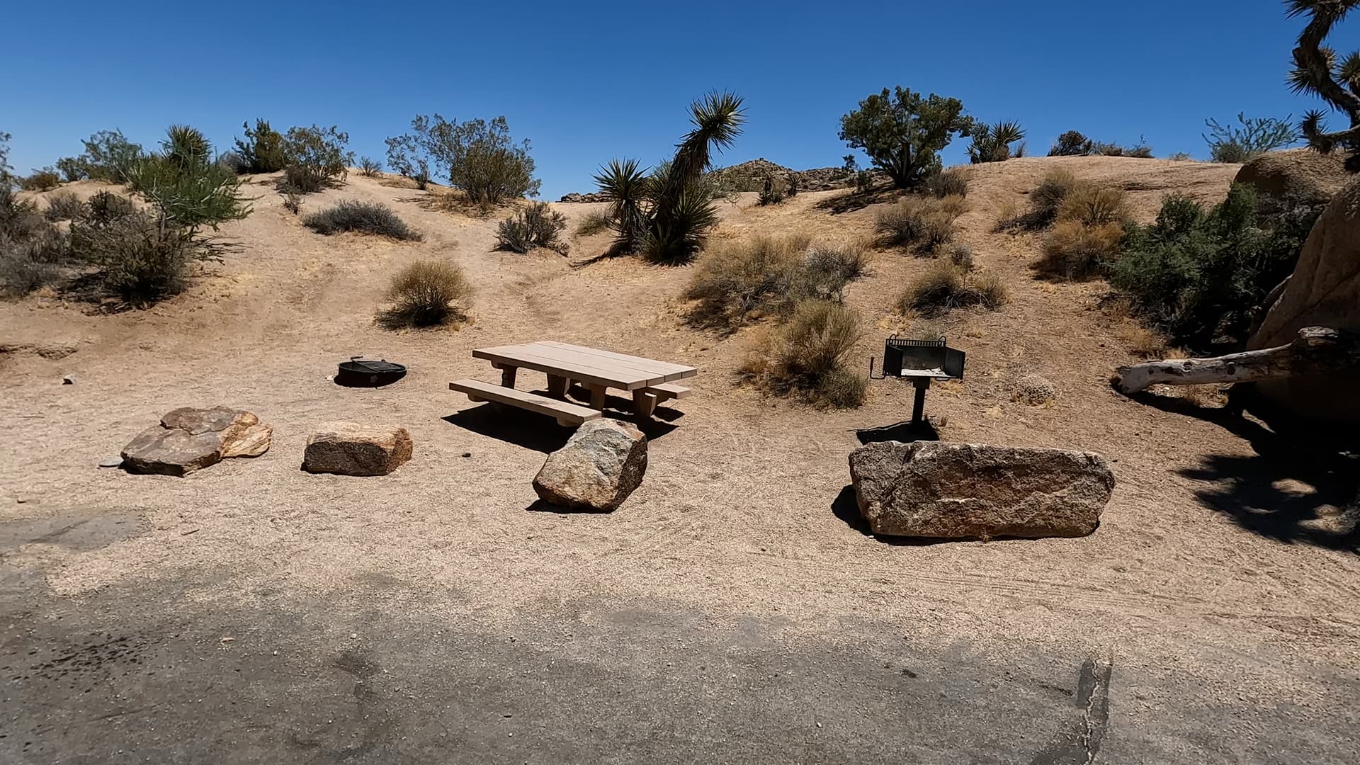 Site 40