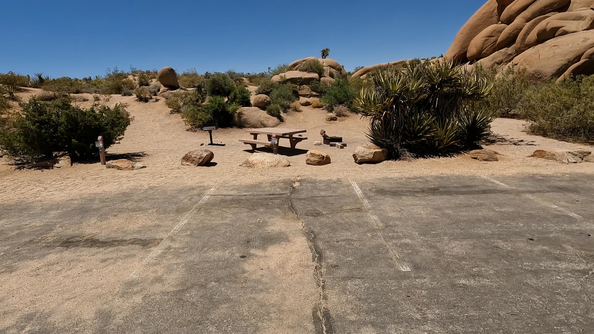 Site 38