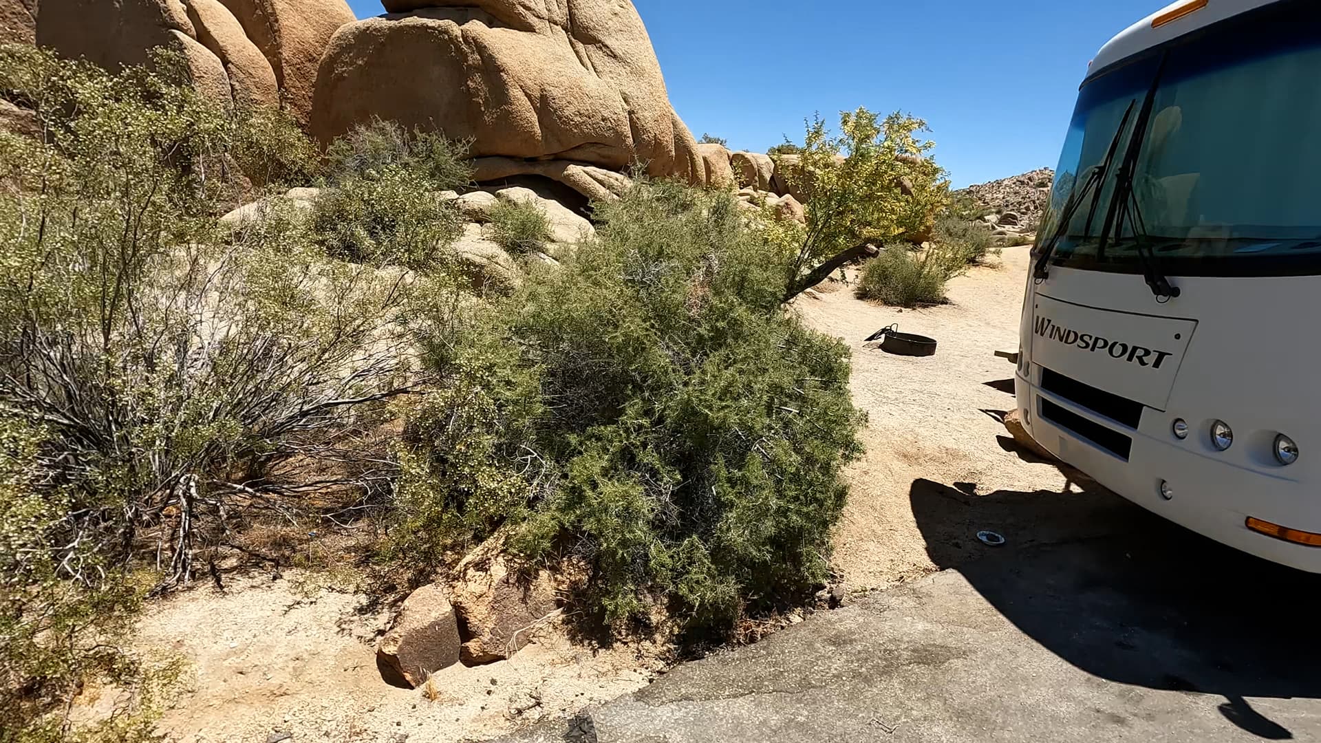 Site 41