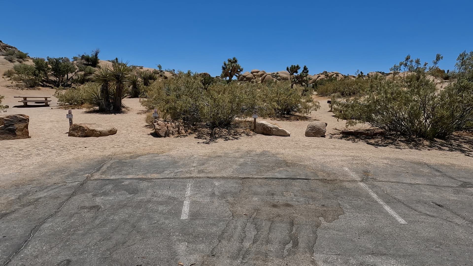 Site 51