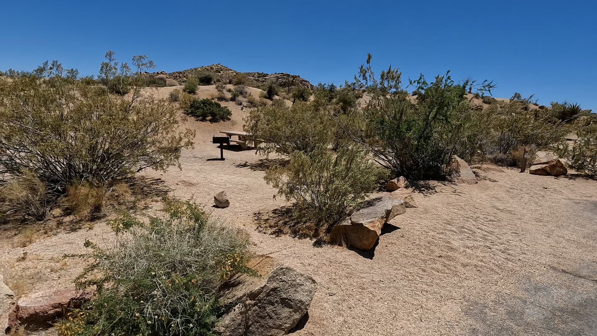 Site 54
