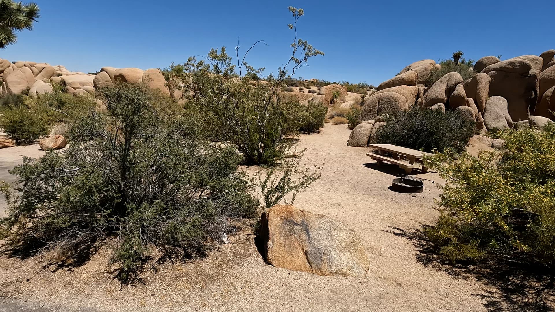 Site 62