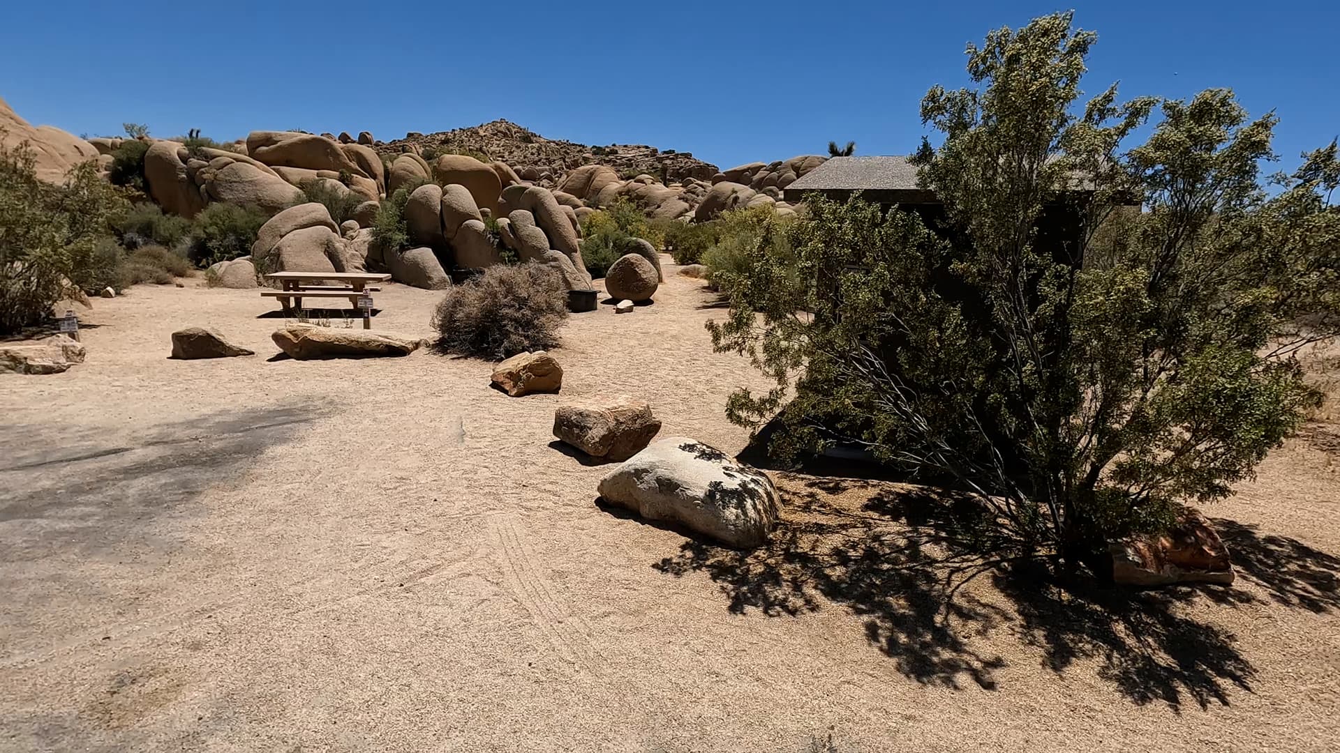 Site 65