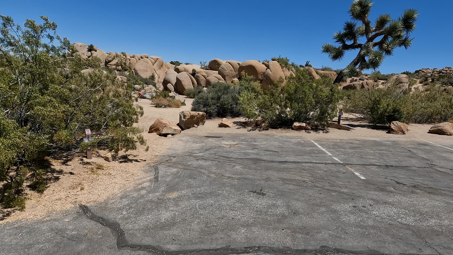Site 64
