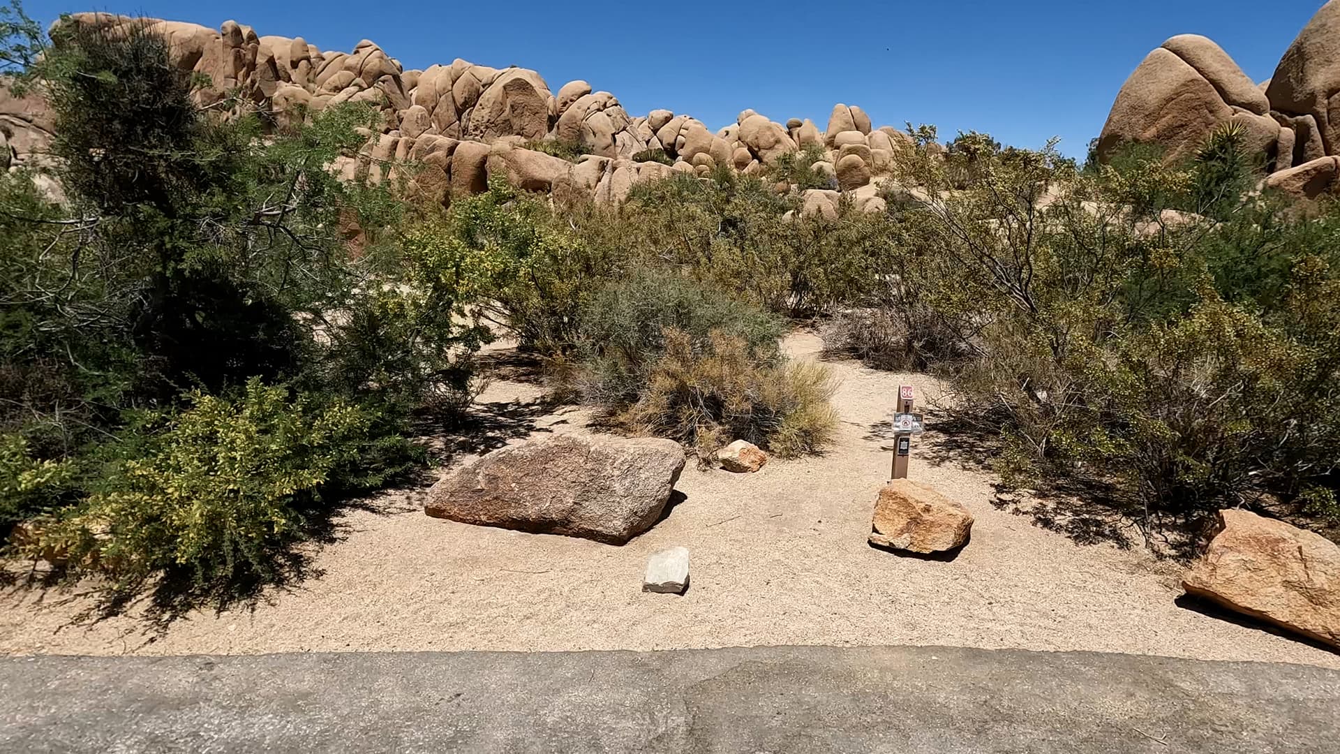 Site 86
