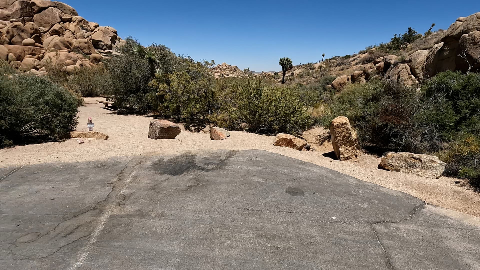 Site 77