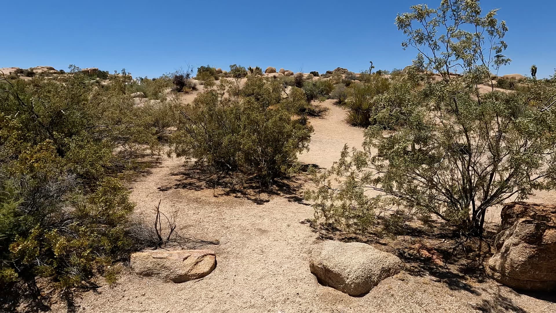 Site 102