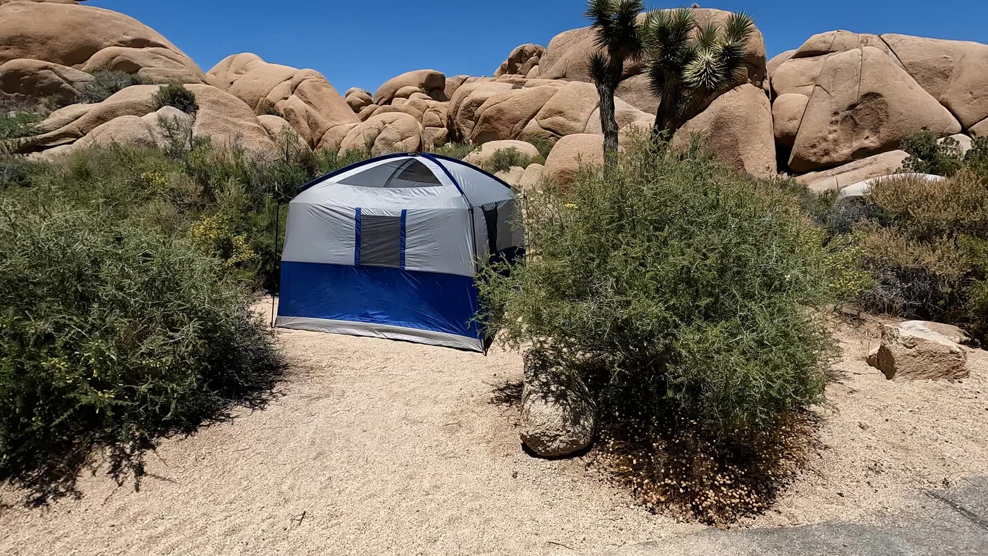 Site 89
