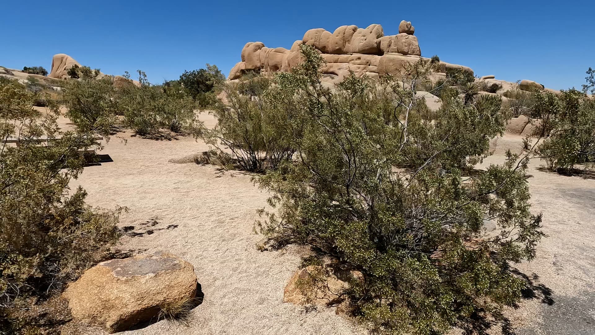 Site 115