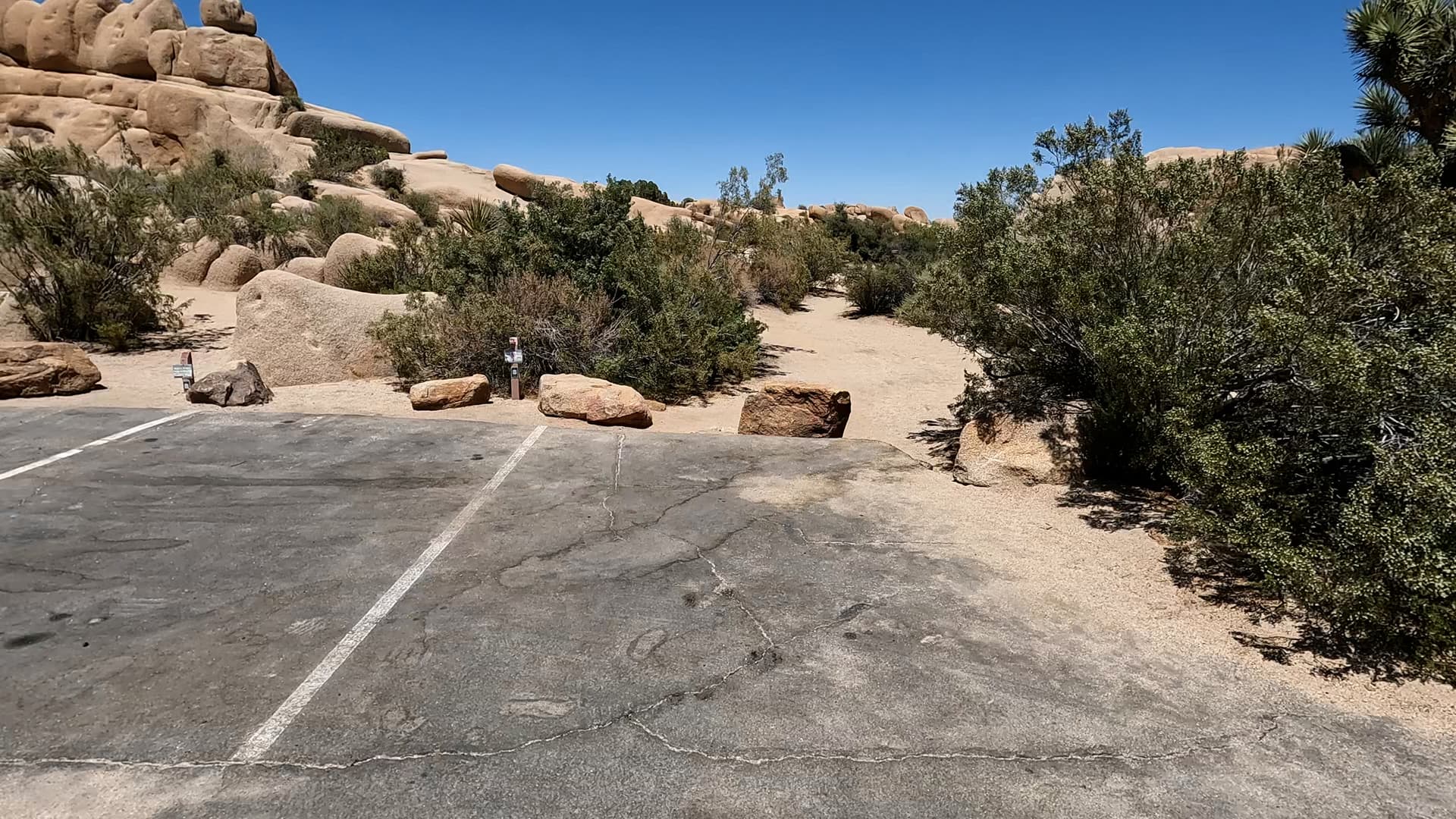 Site 113