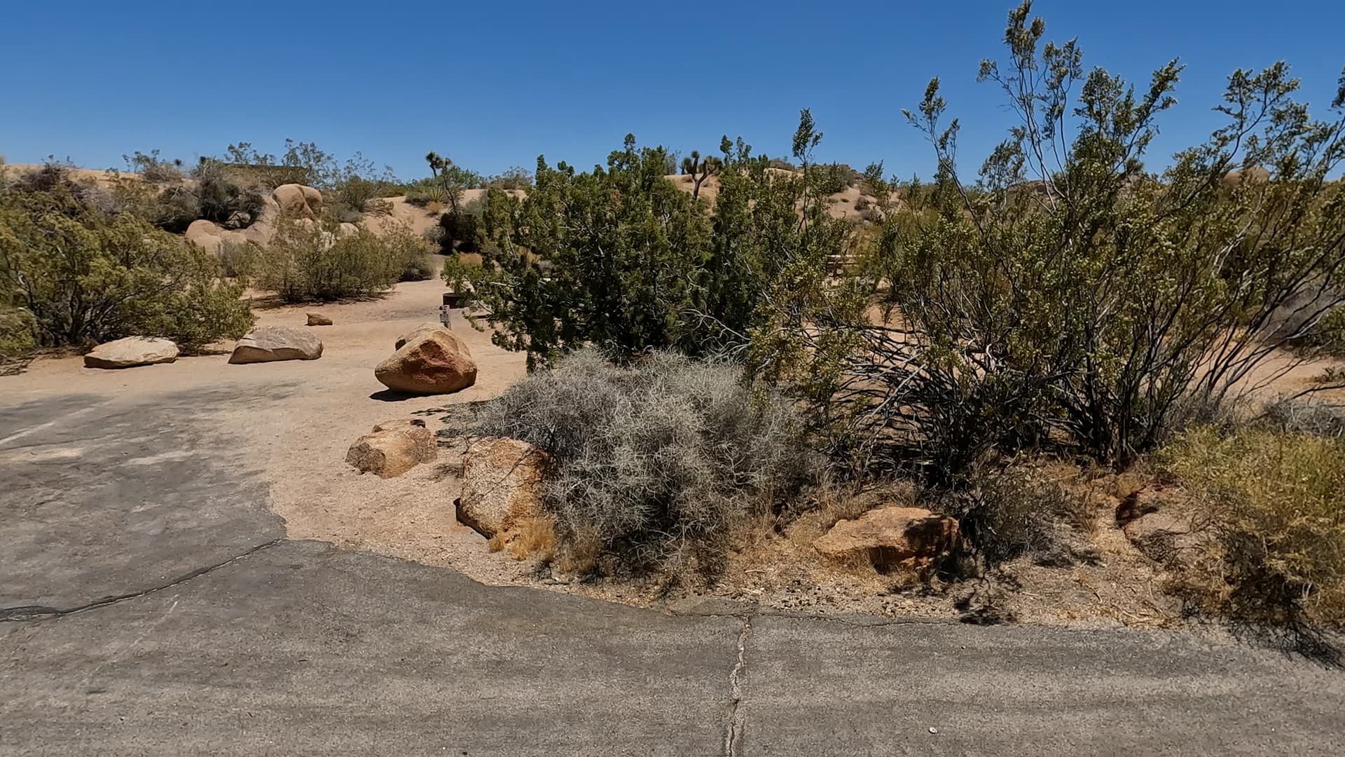 Site 110