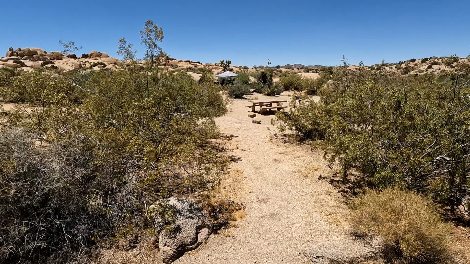 Site 107