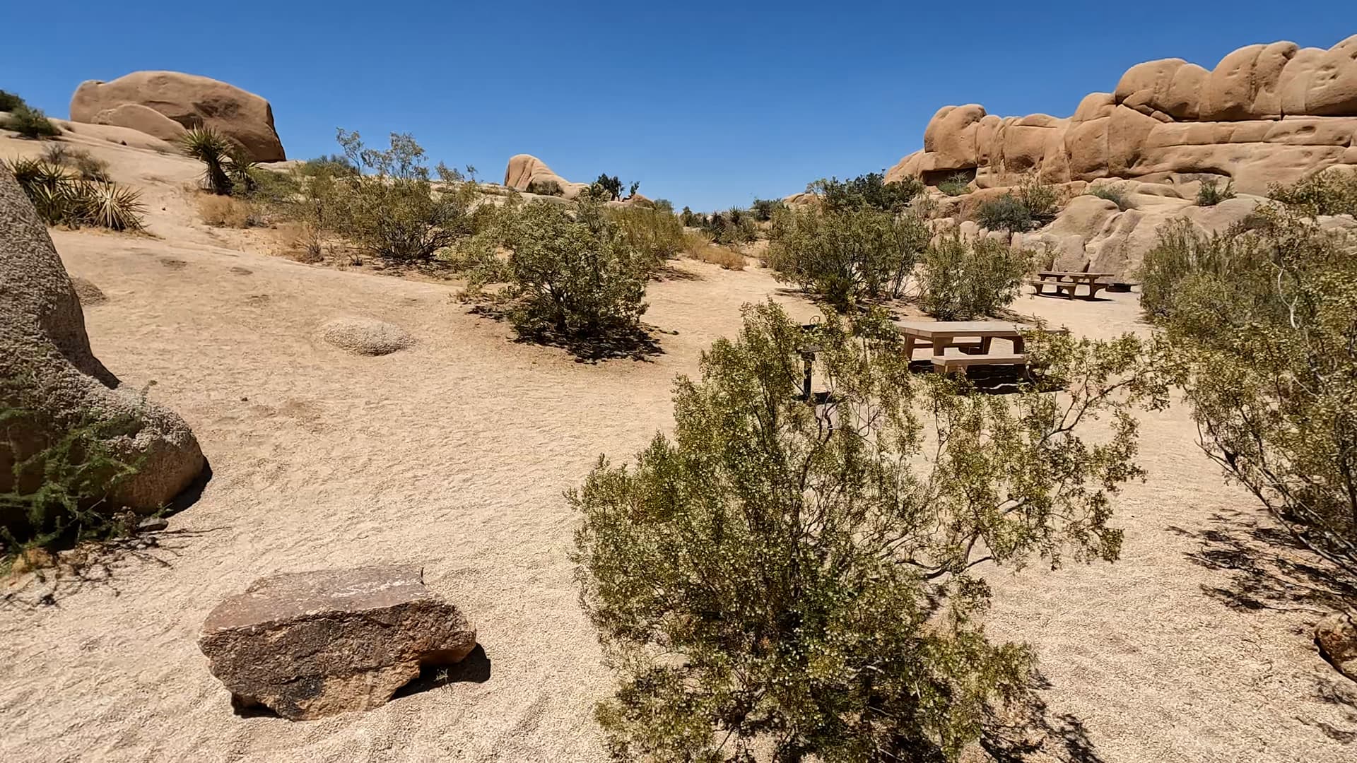 Site 116