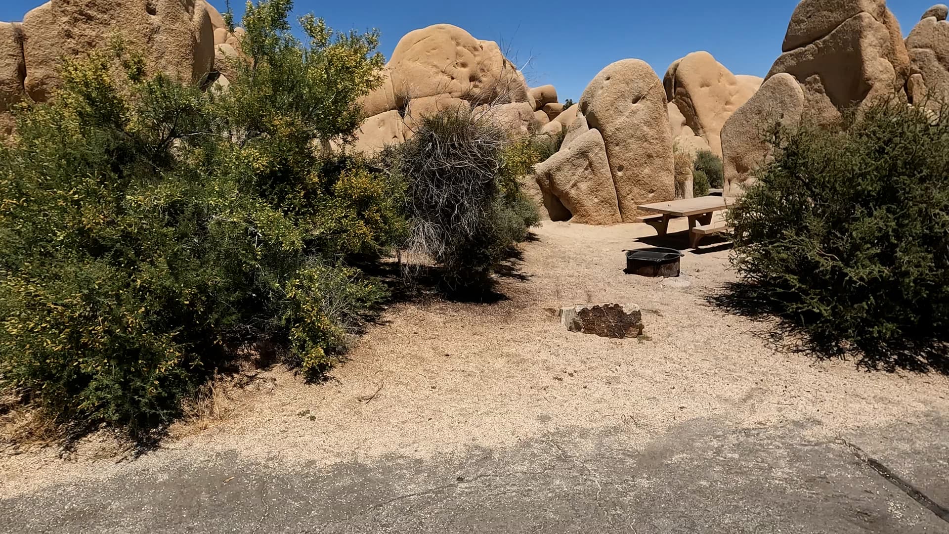Site 121