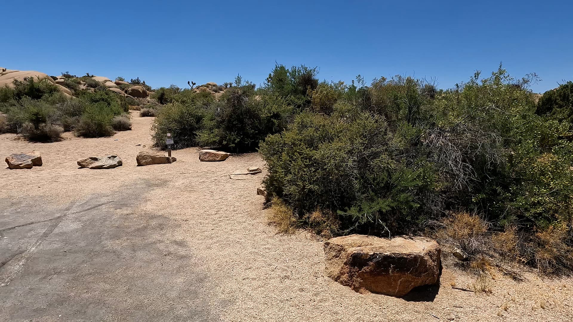 Site 55