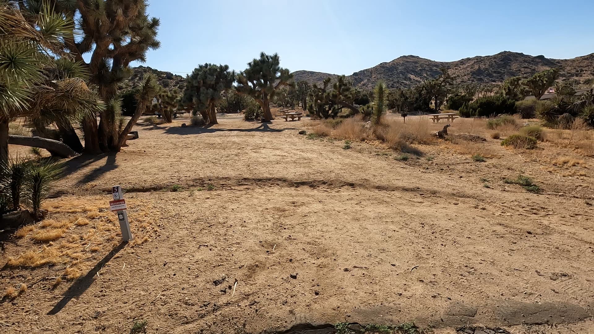 Site 5