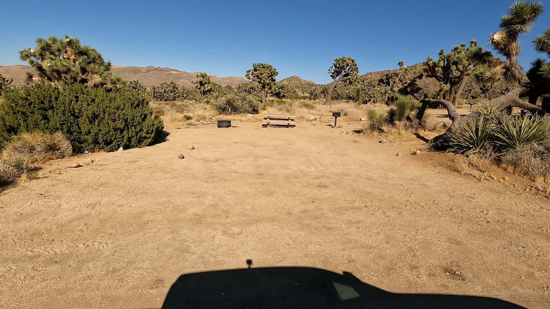 Site 6