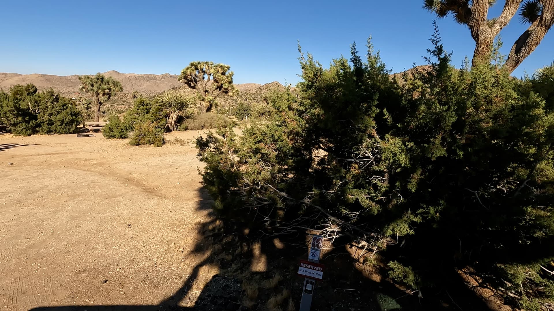 Site 44